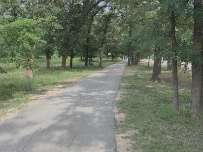 Park